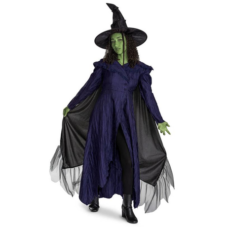 Adults Deluxe Wicked: For Good Elphaba Costume