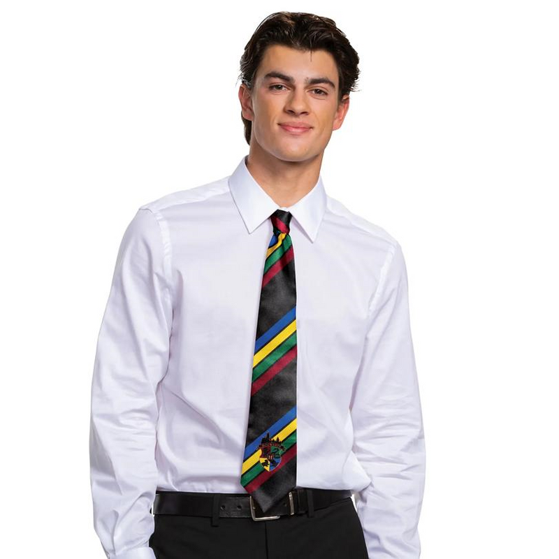 Adults Harry Potter Hogwarts All Houses Tie Costume Accessory