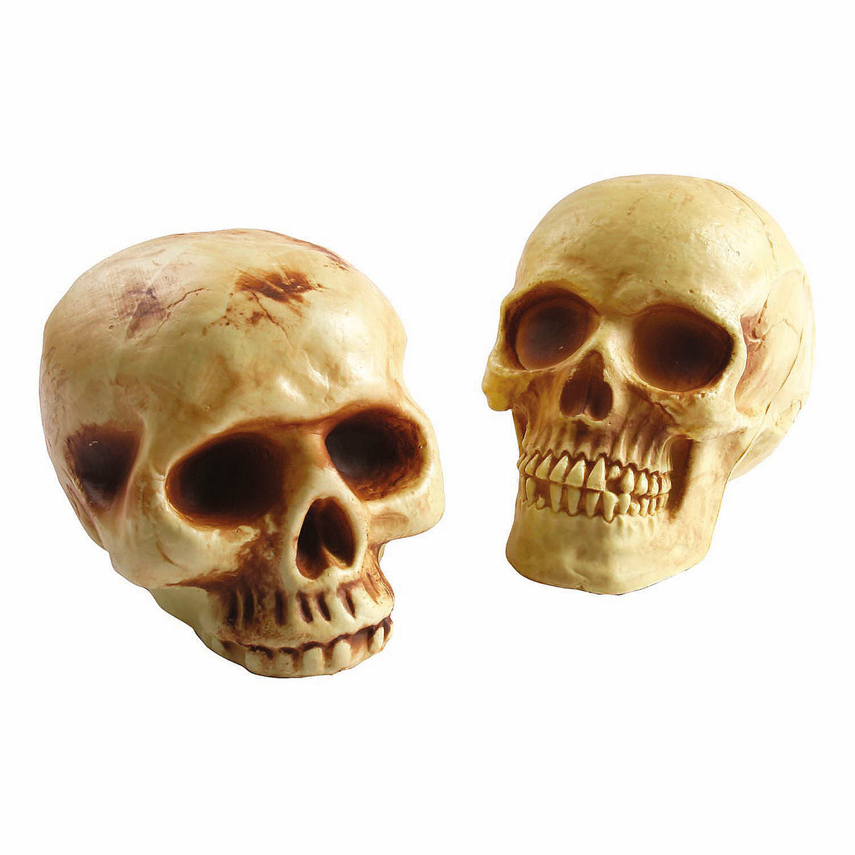 Realistic Brown Plastic Skull Halloween Decoration for Haunted House Festivities and Seasonal Displays