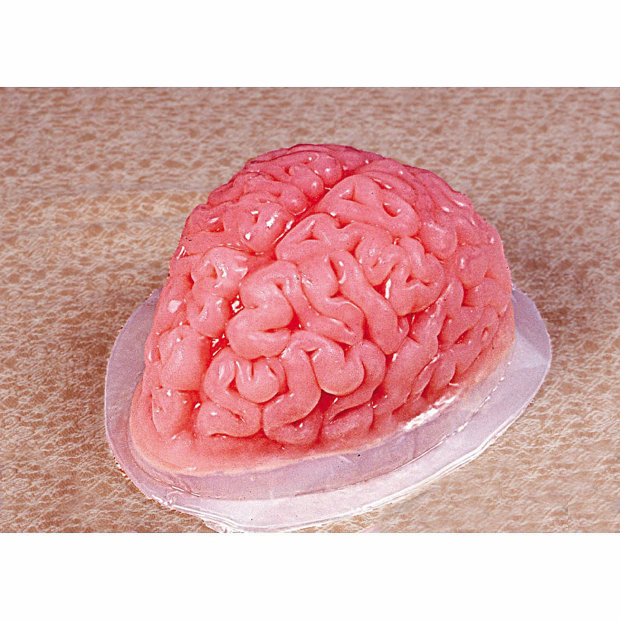 Unique 9 3/4 Inch Brain-Shaped Gelatin Mold for Halloween Parties and Themed Events