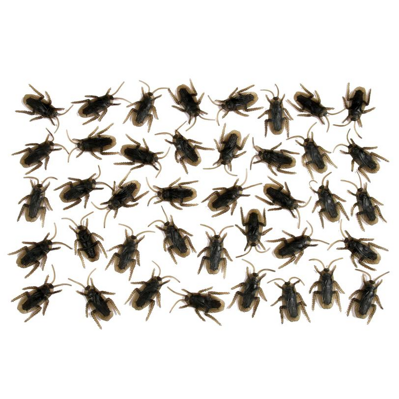 COCKROACHES 40PCS