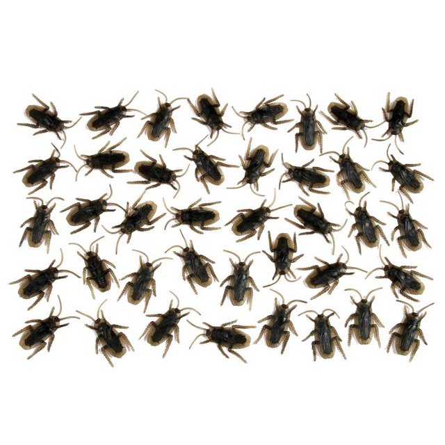 COCKROACHES 40PCS