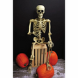 5 Ft. Realistic Posable Articulated Skeleton Halloween Decoration