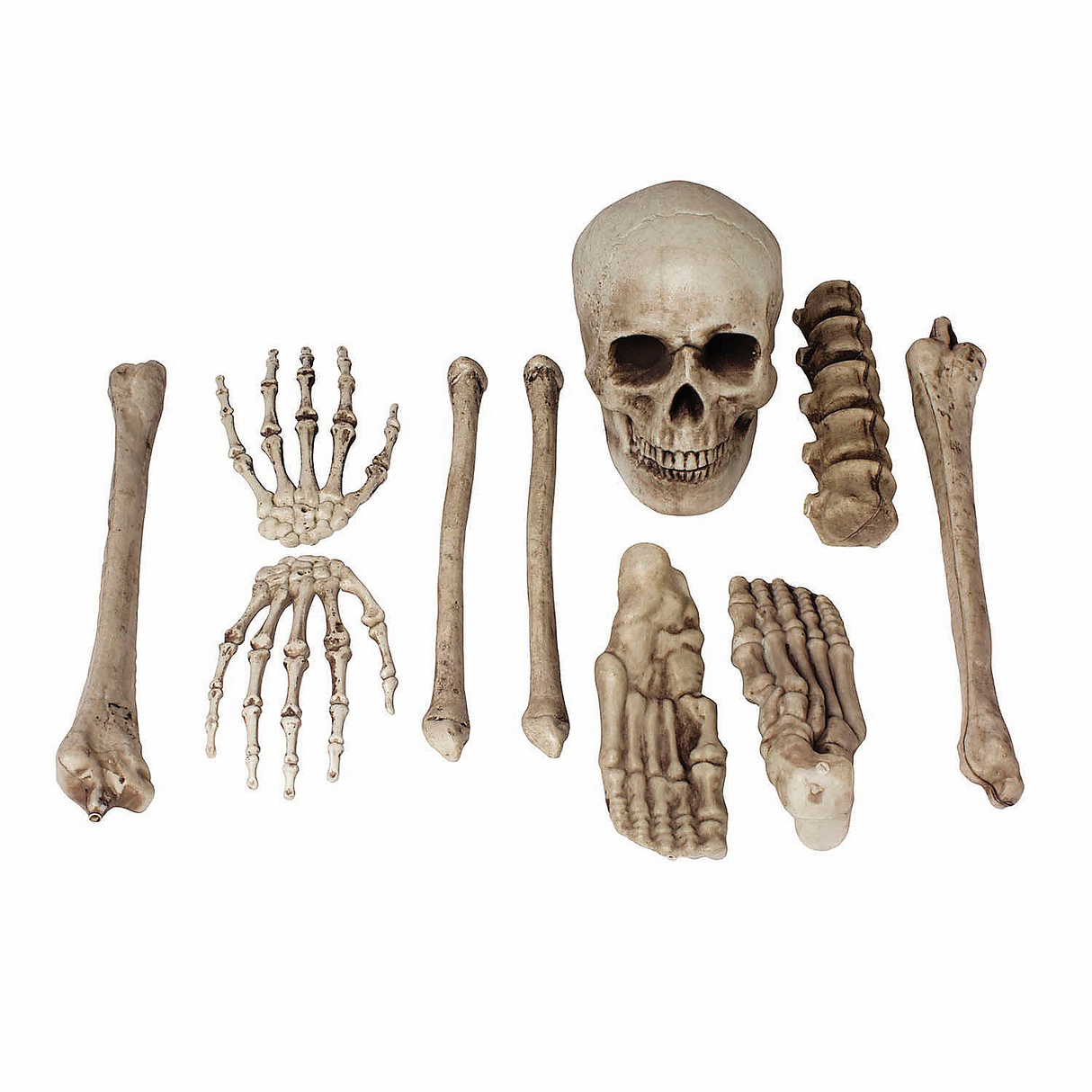10 Piece Skeleton Bag O' Bones Halloween Decoration Set