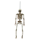 14" Posable Skeleton