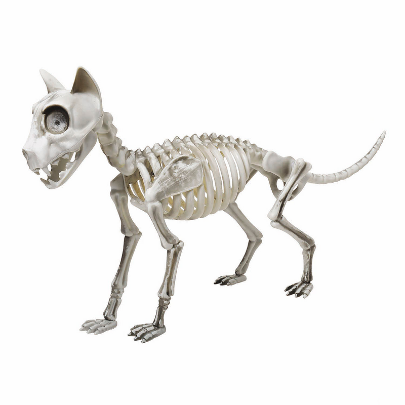Spooky Articulated Skele-Cat Halloween Decoration for Eerie Displays and Festive Decor