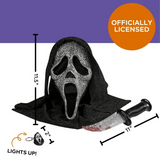 GHOST FACE BLING COLLECTOR BOX SET