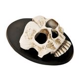 6" Skull Wall Sconce Halloween Dcor