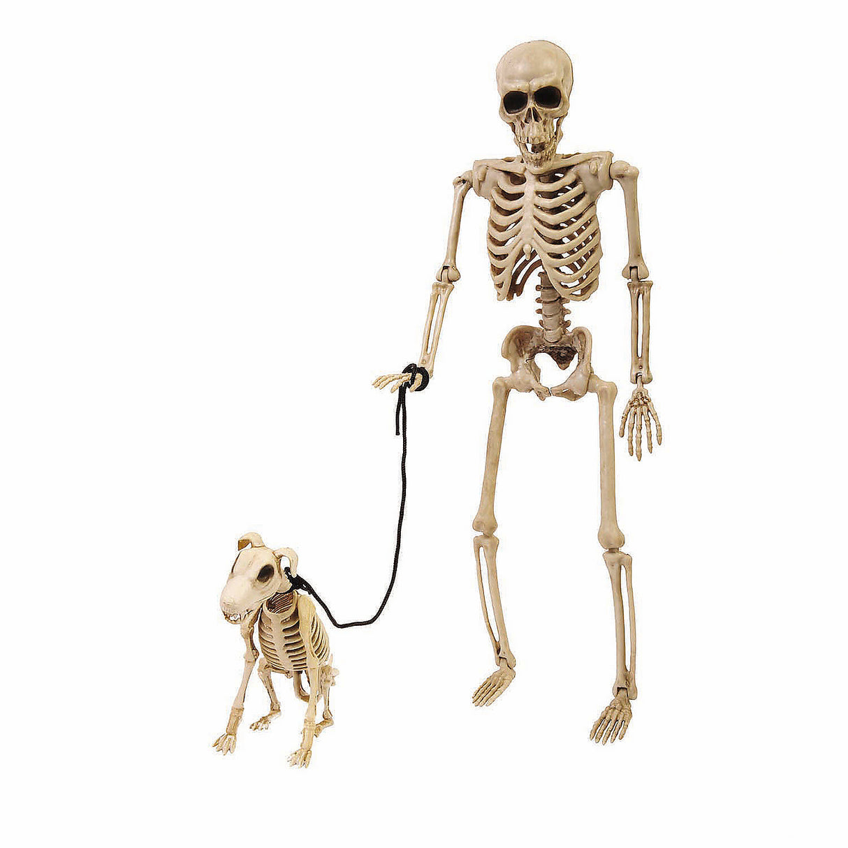 Eerie 14 Inch Skeleton Dog on a Leash for Spooky Halloween Outdoor Decor
