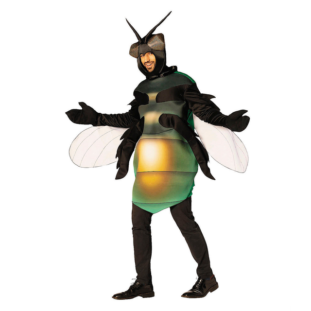 Adults Fly Tunic Costume