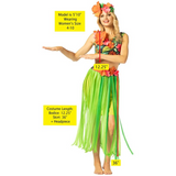 Adul Costume