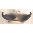 MUST ENGLISH BLEND LT BRN 10
