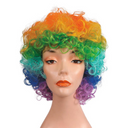 FD Curly Clown Wig