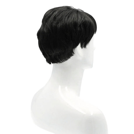 Versatile Men's Side-Part Wig for Character Transformations and Everyday Styling Needs