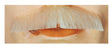 M61 Mustache - Blend