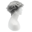 Men's FS9014 Wig
