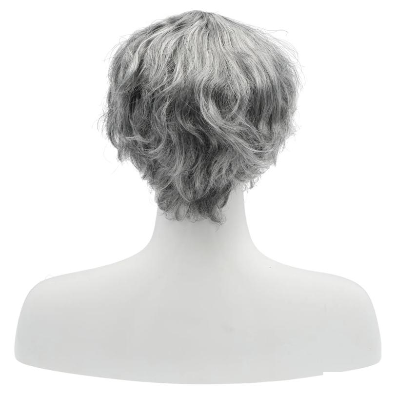 Men's FS9014 Wig
