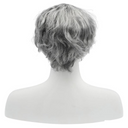 Men's FS9014 Wig