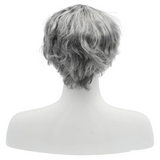 Men's FS9014 Wig