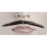 Authentic Errol Flynn Mustache Made from Human Hair for Costumes and Character Portrayals