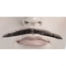 Errol Flynn Mustache - Human Hair