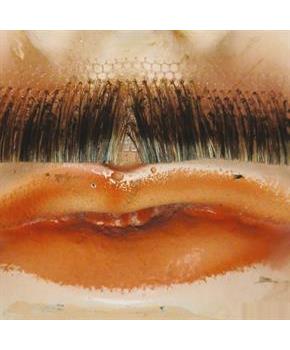Errol Flynn Mustache - Human Hair for Authentic Character Looks
