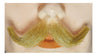 Small English M10 Mustache - Blend