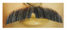 Downturn M2 Mustache - Human Hair