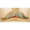 Versatile Edwardian M34 Synthetic Mustache for Character Costumes and Dress-Up Events