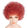 Affordable Bargain Afro Wig for Themed Events Halloween Parties and Clown Costumes