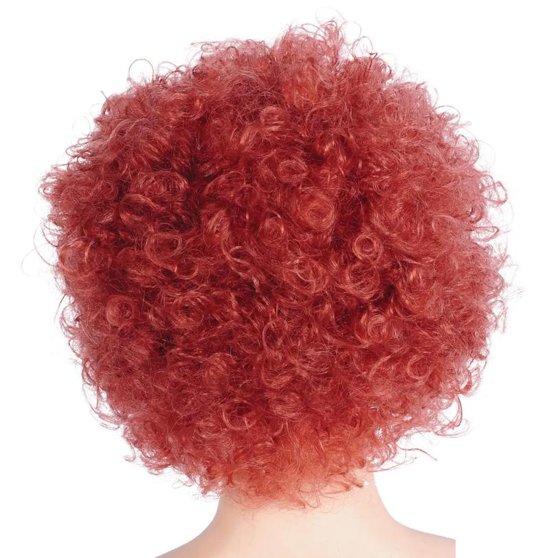 Bargain Afro Wig