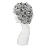Bargain Afro Wig