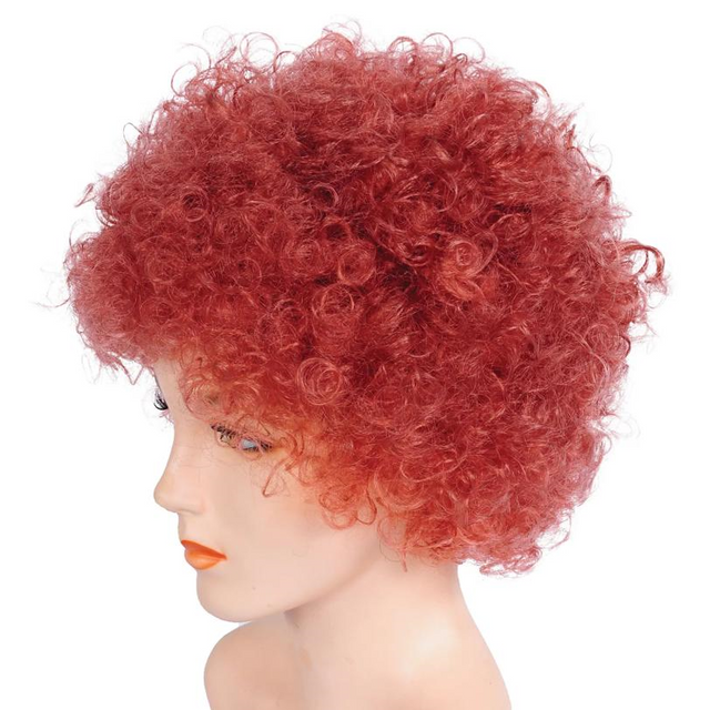 Bargain Afro Wig