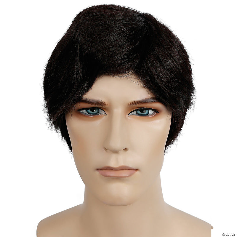 Affordable Special Bargain Men's Wig for Creative Costume Ideas and Themed Events