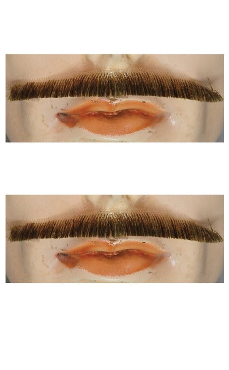 Errol Flynn Mustache - Blend