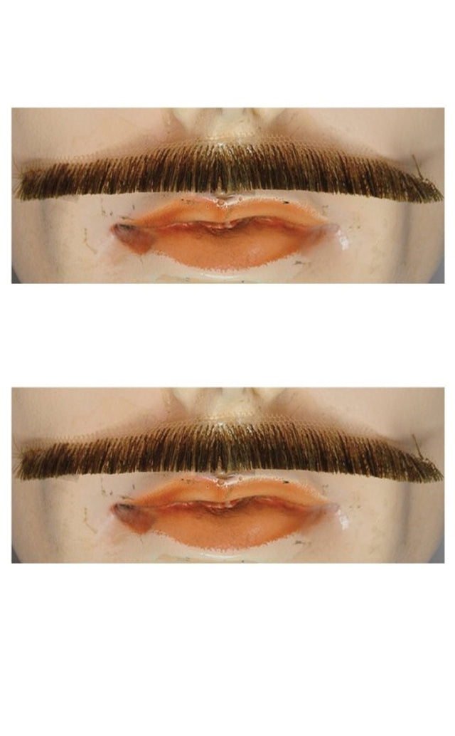 Errol Flynn Mustache - Blend
