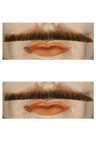 Errol Flynn Mustache - Blend
