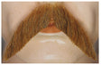 Walrus Mustache - Human Hair