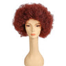 Affordable Discount Afro Wig for Costume Parties and Themed Celebrations