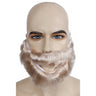 Instant Special Bargain Biblical Beard for Pirate Characters and Theatrical Performances