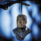 CHANEY ENTERTNMNT WOLFMAN ORNA