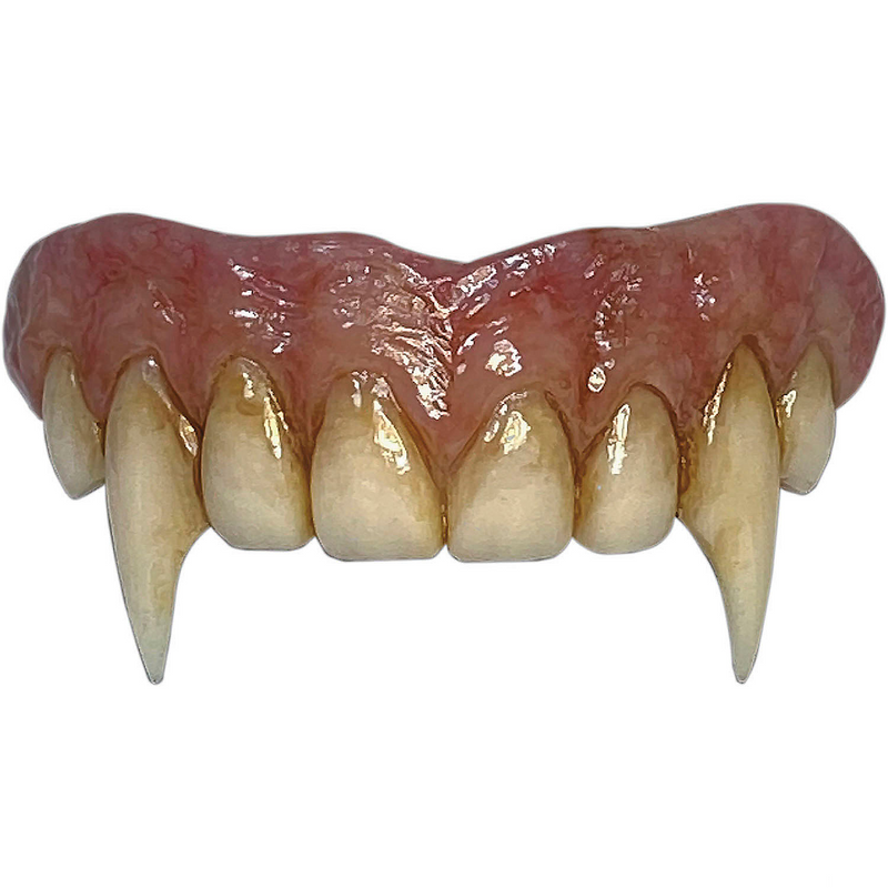 Authentic Dracula Fangs for Halloween Costumes and Vampire-Themed Parties