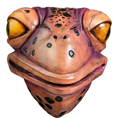 Adults The Umbrella Academy™ Agent Toad Mask Costume Accessory