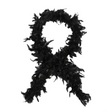 6 Ft. 40-Gram Solid Black Feather Boa