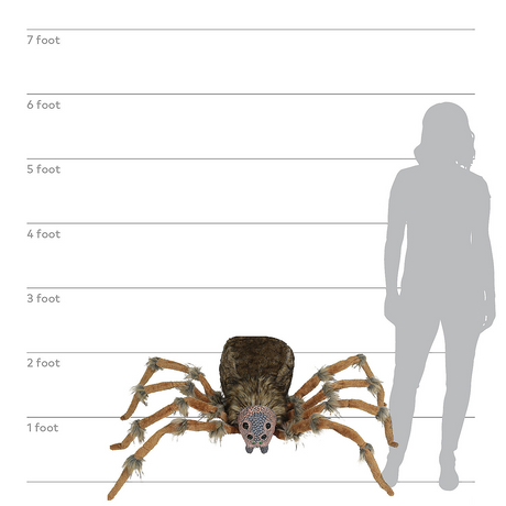 SPIDER BROWN WOLF DLX LIGHTUP