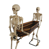 SKELETON CARRYING COFFIN