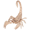 Skeleton Scorpion