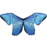 Blue Morph Wings