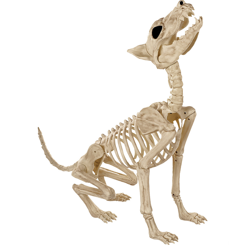 Howl at the Moon Decoration for Halloween Parties Themed Events and Spooky Displays