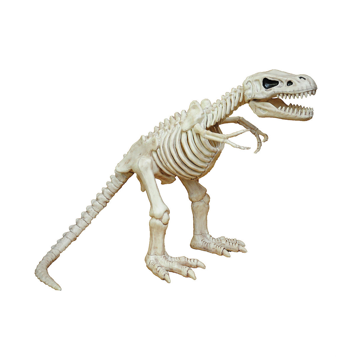 Realistic T-Rex Skeleton Decoration for Haunted Scenes Halloween Parties and Spooky Displays